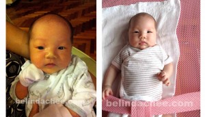 1 Month Old (left) and 2 Month Old (right) Looks pretty different, especially the size of the cheeks! 